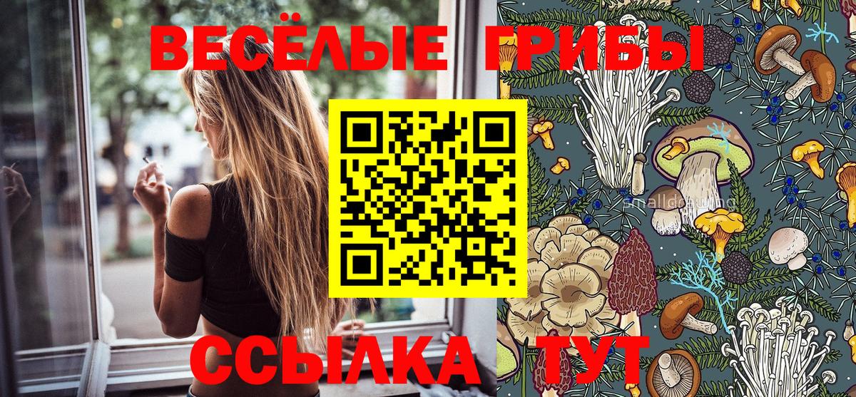 Псилоцибиновые грибы Psilocybe  Вход с VPN  Псилоцибиновые грибы GOLDEN TEACHER  Урюпинск 